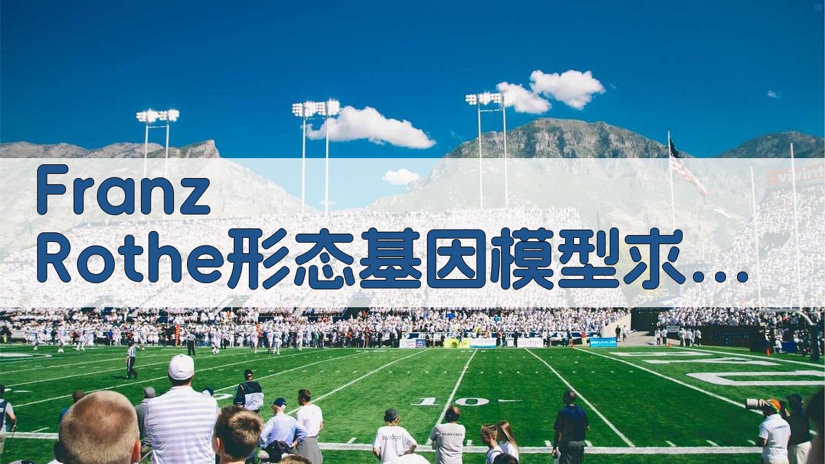 Franz Rothe形态基因模型求解器